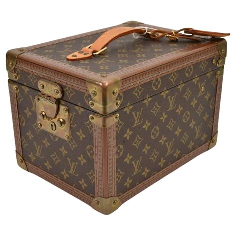 lv speedy trunk|louis vuitton hard case bag.